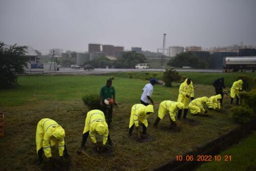 Notwithstanding the heavy rains in the morning, GPHA management and other dignitaries busily doing the planting on May 10 2022